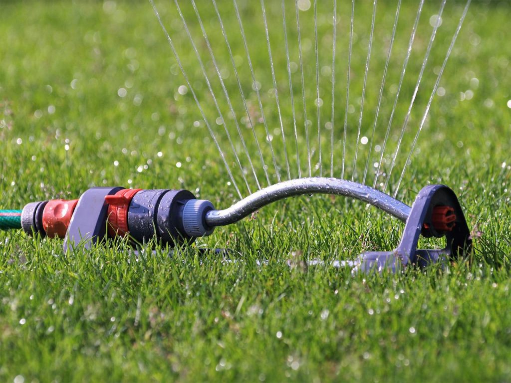 Summer Lawncare Tips